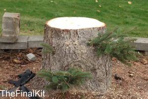 The Best Axe For Cutting Tree Roots A Comprehensive Guide