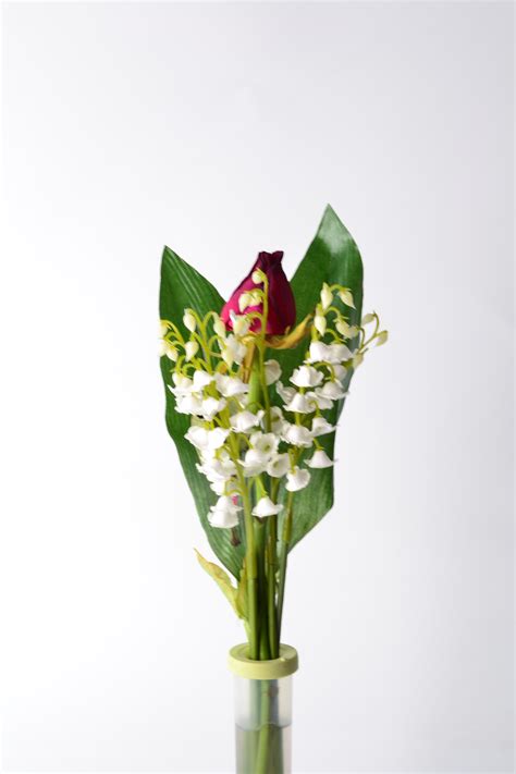 ⬇ télécharger des photos de coccinelle sur la meilleure banque photo depositphotos! Brins de muguet : vente et livraison de muguet - Les 3 Moulins, produits maraîchers et vente de ...
