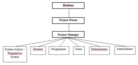 Pengertian Struktur Organisasi Proyek Dan Tugasnya Software Engineer