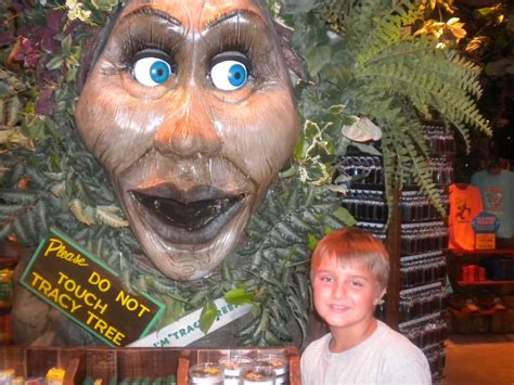 A Southern Girl Tells All Rainforest Cafe