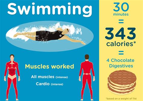 Image Result For Swimming Calories Burned