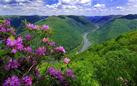 Landscape Nature River Hills With Forest Green Purple