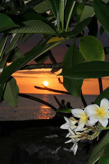 Hawaiian Sunset Sunsets Hawaii Hawaiian Sunset Tropical Paradise