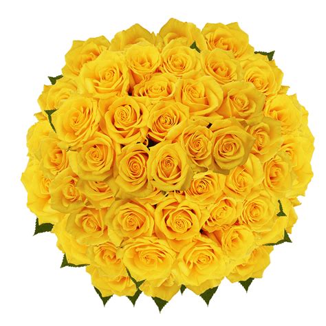 150 Long Stem Assorted Yellow Roses- Beautiful Fresh Cut Flowers ...
