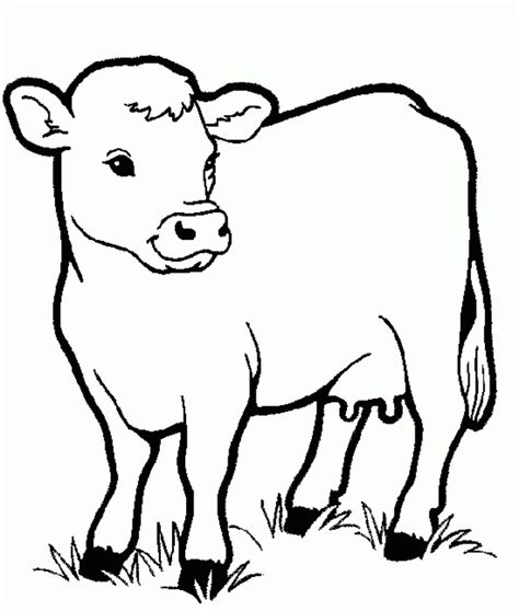 Free Printable Cow Coloring Pages For Kids Cool2bkids Coloring