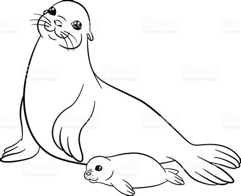 Harp Seal Drawing At Getdrawings Free Download