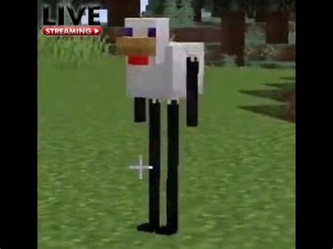 Live Minecraft Indonesia Cari Tumbal Untuk Elytra Youtube