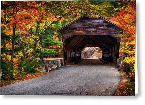 Covered Bridge In Fall Photograph By Richard Siggins