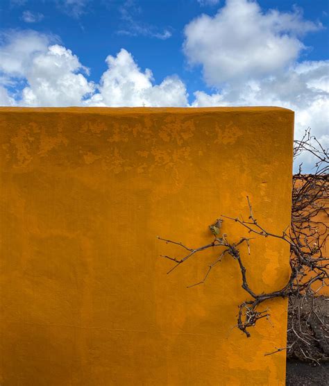 Harlow Carr Orange Wall By Lazy Photon Remaster On Deviantart