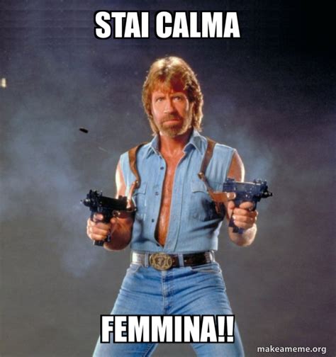 Stai calma Femmina!! - Chuck Norris | Make a Meme