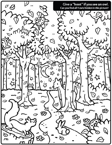 Hidden Owl Find Coloring Page