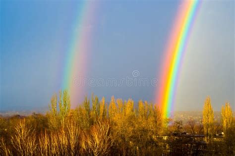 Natural Double Rainbow Over Green Trees Summer City Landscape Stock