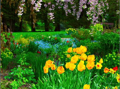 1024x768 Desktop Wallpaper Spring Flowers Wallpapersafari