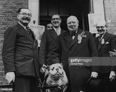 Churchill Bulldogs Photos And Premium High Res Pictures Getty Images