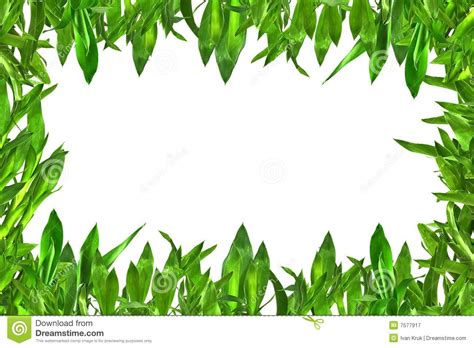 Green Leaves Border Royalty Free Stock Photography Image