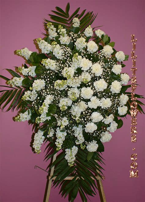 We did not find results for: Sympathy flowers in Los Angeles, Send funeral flowers to ...