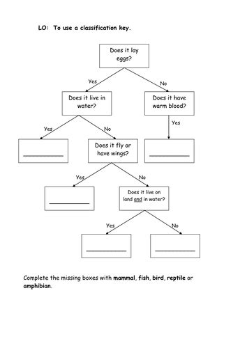 Classification Keys 3 By Sueemc Teaching Resources Tes