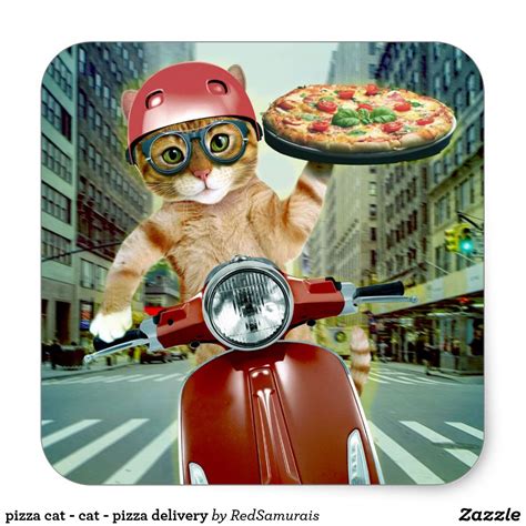 Pizza Cat Cat Pizza Delivery Square Sticker Pizza