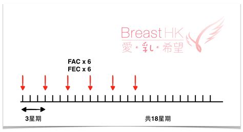 Fac Fec Breast Cancer Hk 香港的乳癌治療資訊