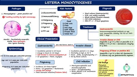 Listeriosis Summary Listeria Monocytogenes Pathogen Grepmed