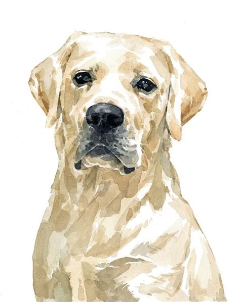 Hand Made Lab Dog Custom Portrait Watercolor Labrador Retriever By