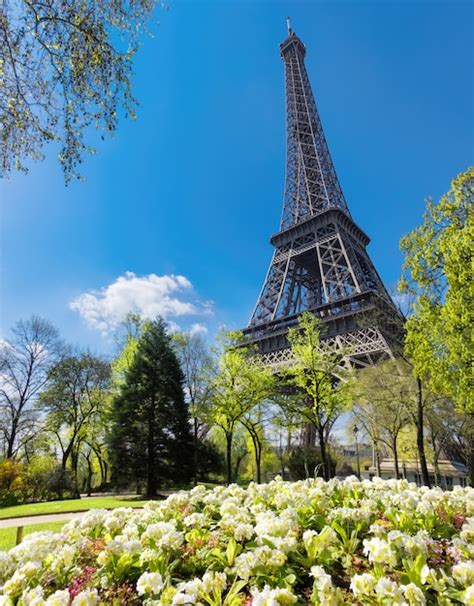 Tour Eiffel Au Printemps Avec Des Fleurs Et Des Feuilles Fraîches