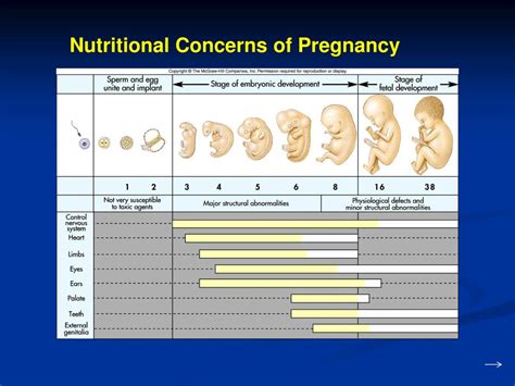 Ppt Maternal And Infant Nutrition Powerpoint Presentation Free