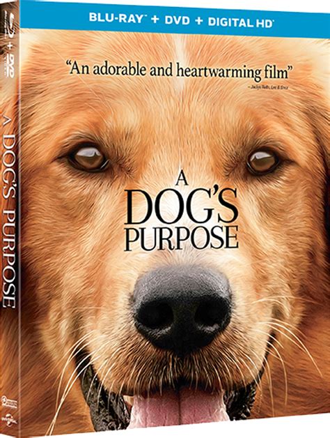 Cuervofullhd A Dogs Purpose 2017 1080platino Inglés Subt Esp