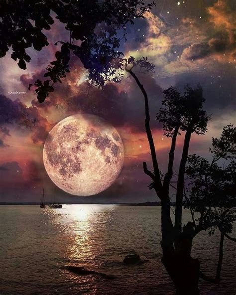 The Full Moon Is Shining Brightly In The Night Sky Over Water And Trees