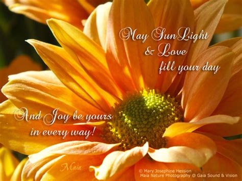 May Your Day Be Filled With Sunshine Free Have A Great Day Ecards