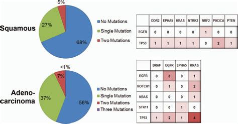 Racial Diversity Of Actionable Mutations In Nonsmall Cell