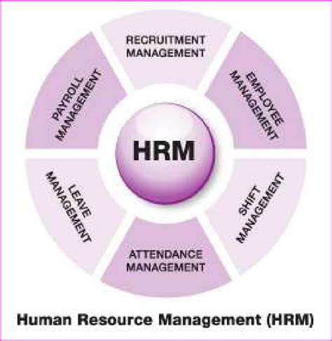 Hr Strategy Meaning Importance Example Hrm Overview Mba Skool Hot Sex