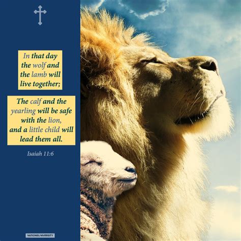 Weekly Reflection The Lion And The Lamb Nationsu Chaplains Corner