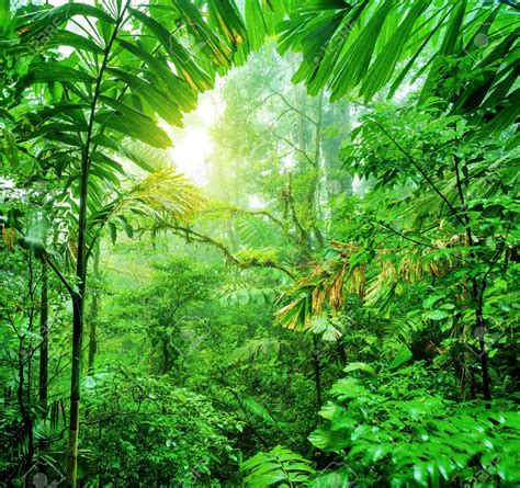 Costa Rica Biodiversity And Pura Vida ⋆ The Costa Rica News