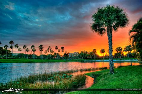 Palm Tree At Lake Property Sunset Palm Beach Gardens Hdr Photography