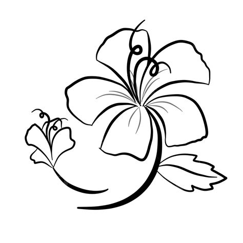 Black And White Sketch Of Stemmed Flowers Flower Sketch Blossom