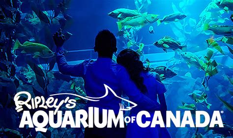 When Does Ripleys Aquarium Open Aquarium Views