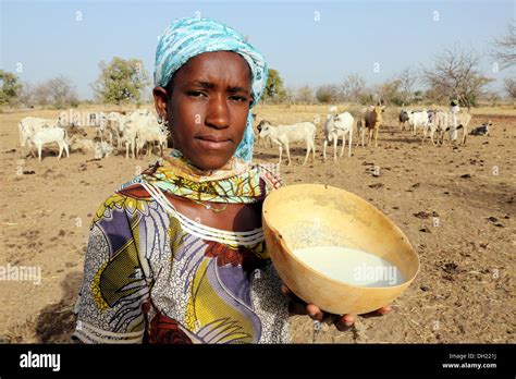 A Fulani Woman Presenting Calabash With Fresh Milk Burkina Faso Stock