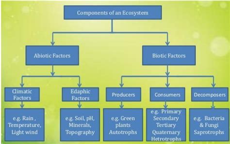 Environment Meaning Components Modern Ias