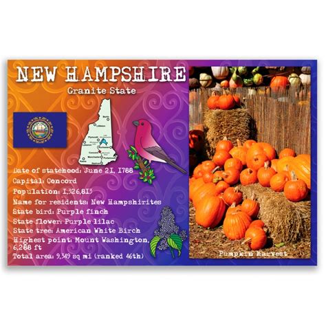 New Hampshire State Facts Postcard