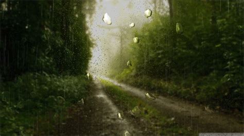 Realistic Rain Fall Effect On Window In Adobe After Effect
