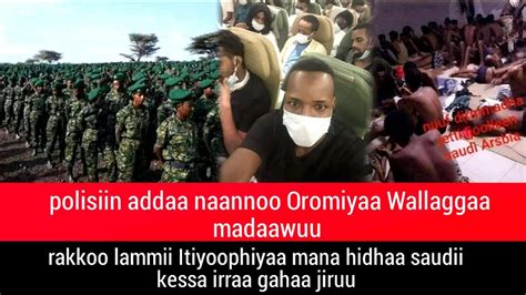 Oduu Bbc Afaan Oromoo Sep 12021 Youtube