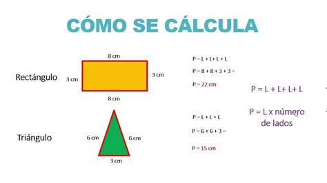 Qué es el perímetro Cómo se calcula en las figuras geométricas Clase sobre Perímetro