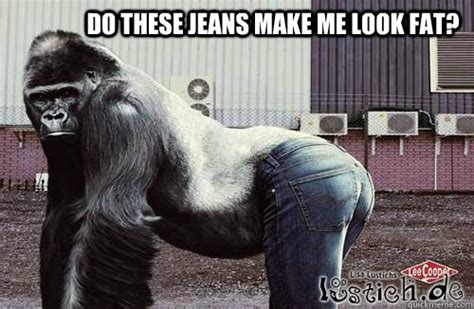 Gorilla Jeans Memes Quickmeme