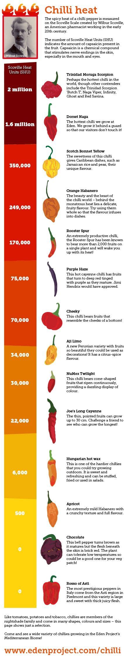 Chilli Scoville Scale Infographic 4352 255 Pixels Hot Spicy