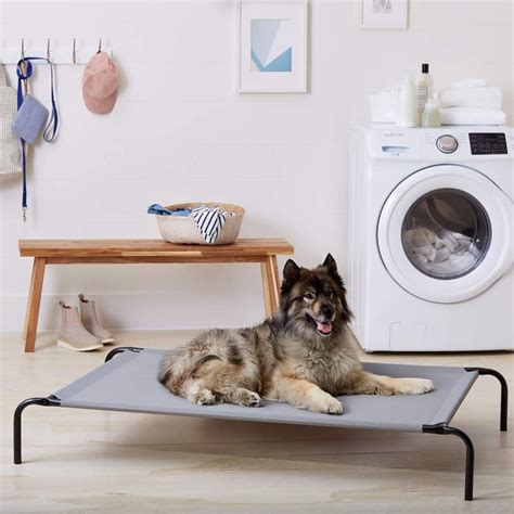 New Extra Large Elevated Dog Pet Bed Cot 57dbc Uncle