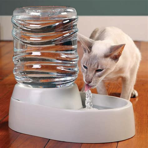 Etna Electric Pet Water Fountain Bpa Free Pet Waterer Bowl Cat And