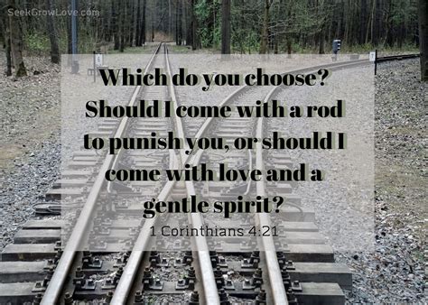 Paul’s Job – SeekGrowLove.com