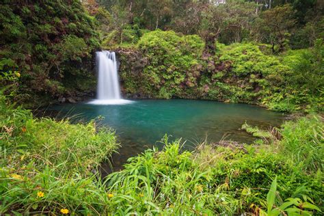 Top 12 Best Waterfalls On Maui You Should Visit 2023