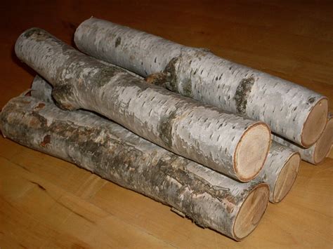 Birch Logs 5 Logs 12 14 Inches Long 1 2 Inches Thick Rustic